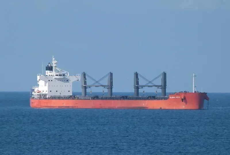 GLOBAL MIRAI Bulk Carrier IMO 9558256 photo 9