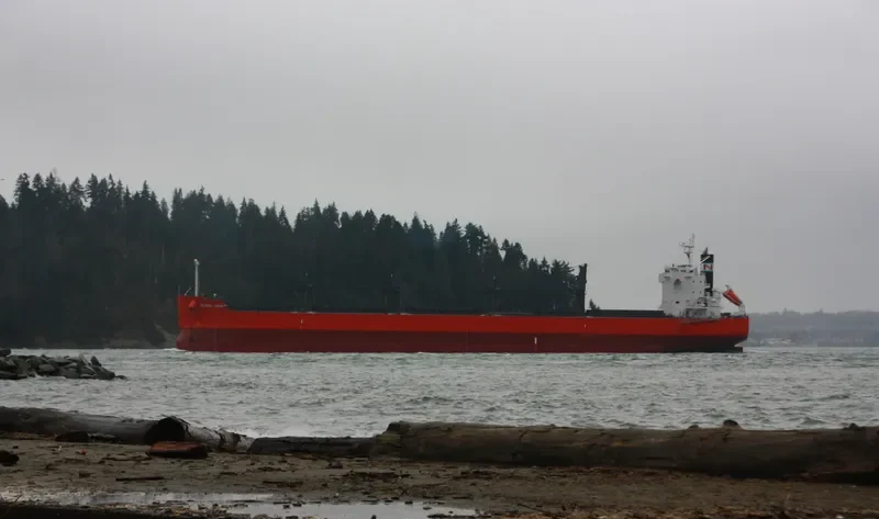 GLOBAL MIRAI Bulk Carrier IMO 9558256 photo 10