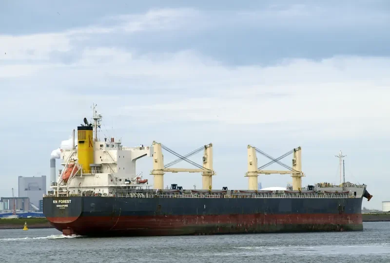 KN FOREST Bulk Carrier IMO 9558268