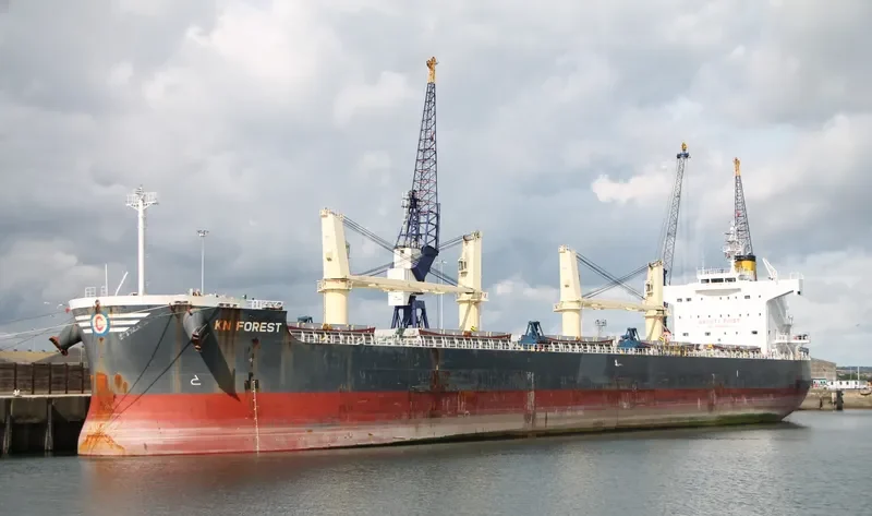 KN FOREST Bulk Carrier IMO 9558268 photo 3