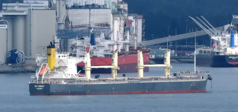 KN FOREST Bulk Carrier IMO 9558268 photo 4