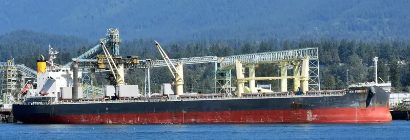 KN FOREST Bulk Carrier IMO 9558268 photo 7
