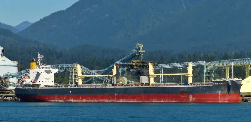 KN FOREST Bulk Carrier IMO 9558268 photo 8