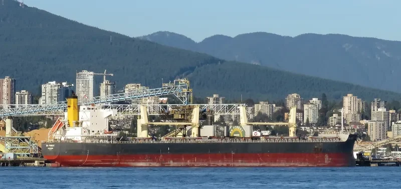 KN FOREST Bulk Carrier IMO 9558268 photo 9