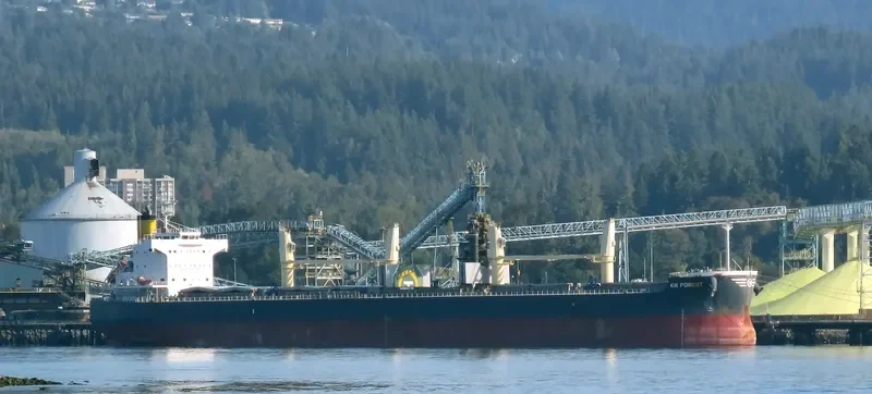 KN FOREST Bulk Carrier IMO 9558268 photo 10