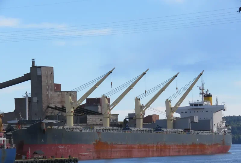 KN FUTURE Bulk Carrier IMO 9558270