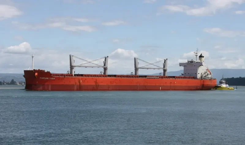 FORTUNE TIGER Bulk Carrier IMO 9558282