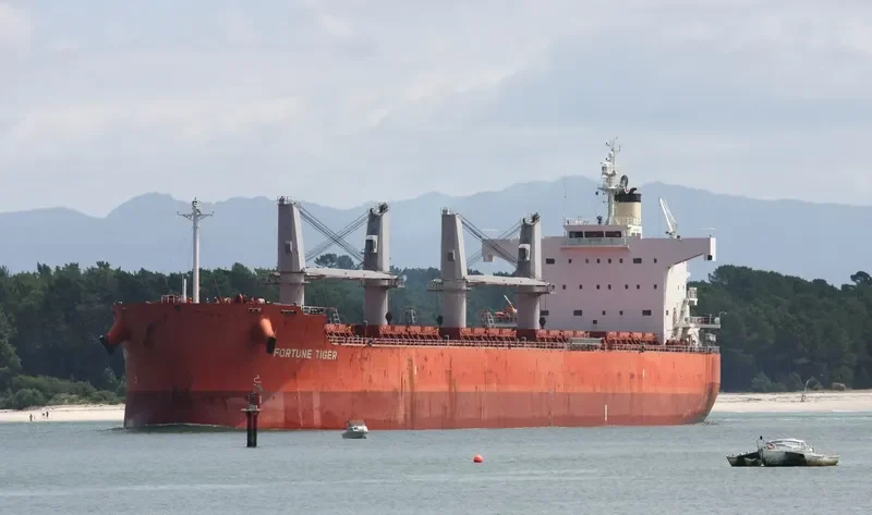 FORTUNE TIGER Bulk Carrier IMO 9558282 photo 2