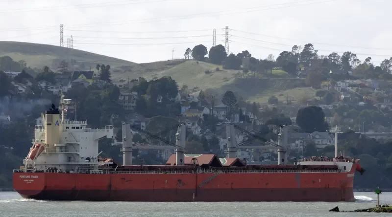 FORTUNE TIGER Bulk Carrier IMO 9558282 photo 4