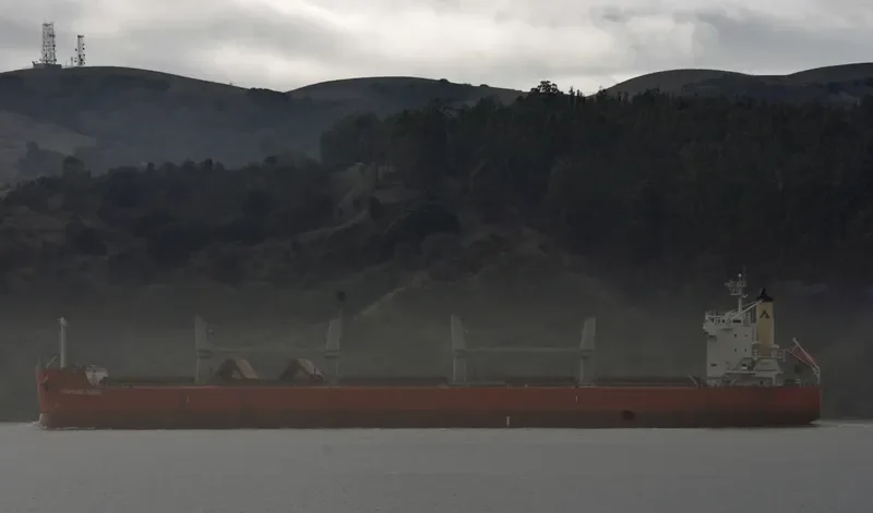 FORTUNE TIGER Bulk Carrier IMO 9558282 photo 6