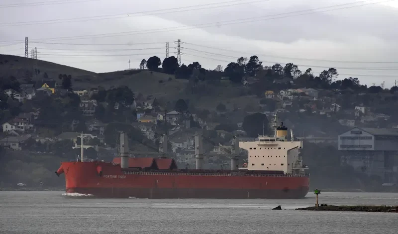 FORTUNE TIGER Bulk Carrier IMO 9558282 photo 7
