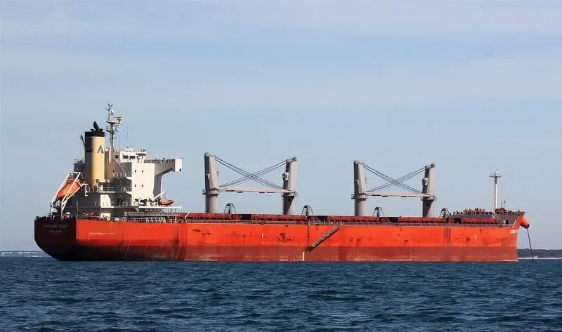 FORTUNE TIGER Bulk Carrier IMO 9558282 photo 8