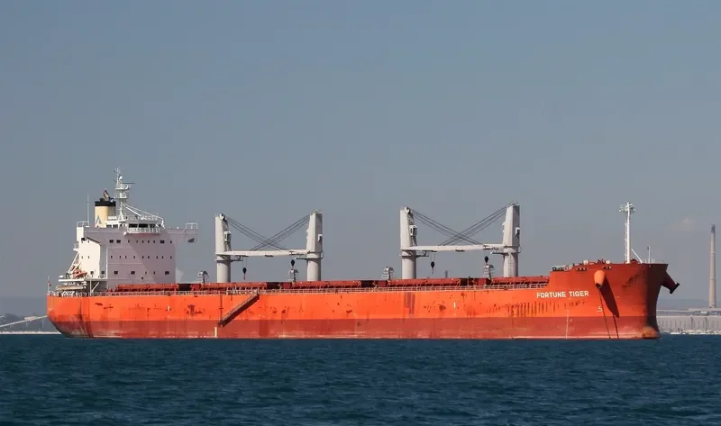 FORTUNE TIGER Bulk Carrier IMO 9558282 photo 9