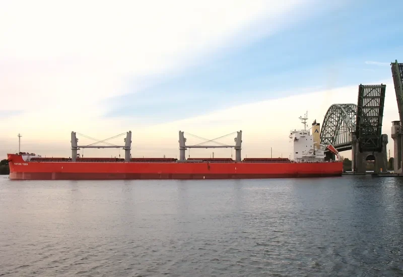 FORTUNE TIGER Bulk Carrier IMO 9558282 photo 10