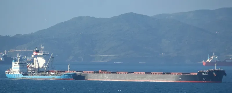 BERGE NYANGANI Bulk Carrier IMO 9558294 photo 5