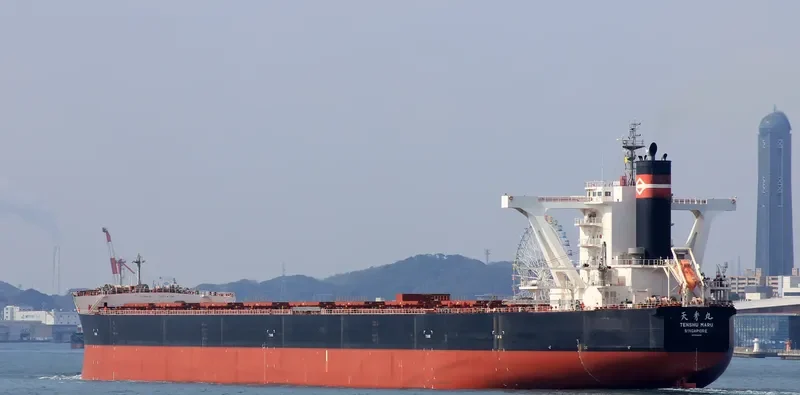 BERGE NYANGANI Bulk Carrier IMO 9558294 photo 7