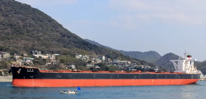 BERGE NYANGANI Bulk Carrier IMO 9558294 photo 8