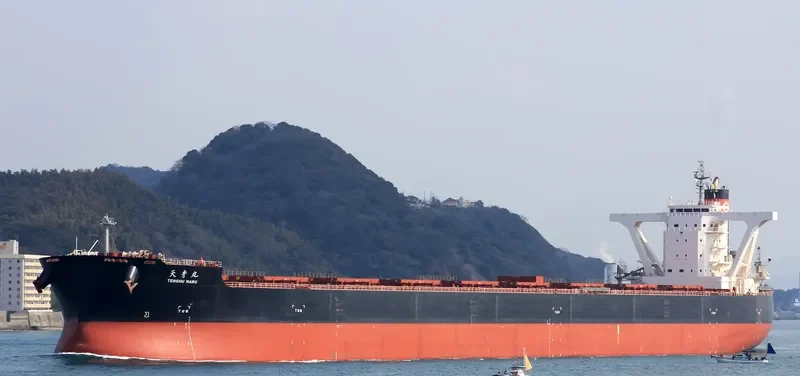 BERGE NYANGANI Bulk Carrier IMO 9558294 photo 9