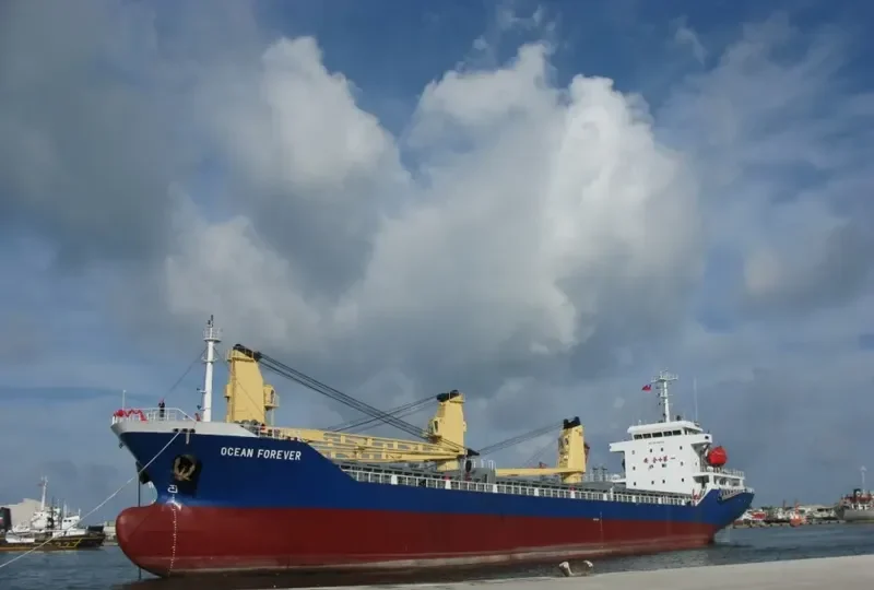 OCEAN LEAP General Cargo IMO 9558684 photo 2