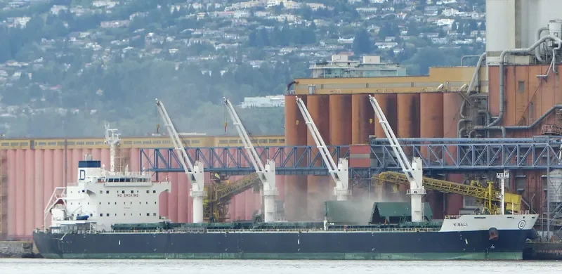 KIBALI Bulk Carrier IMO 9558696 photo 2