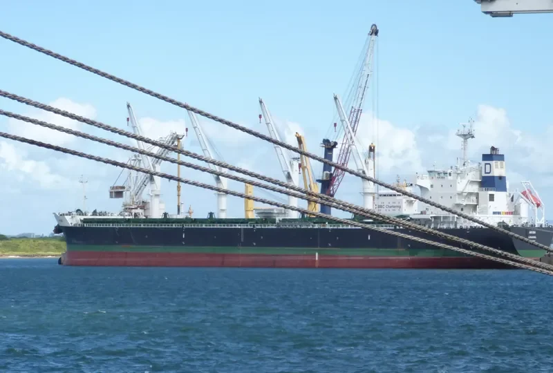 NOZOMI Bulk Carrier IMO 9558701 photo 2