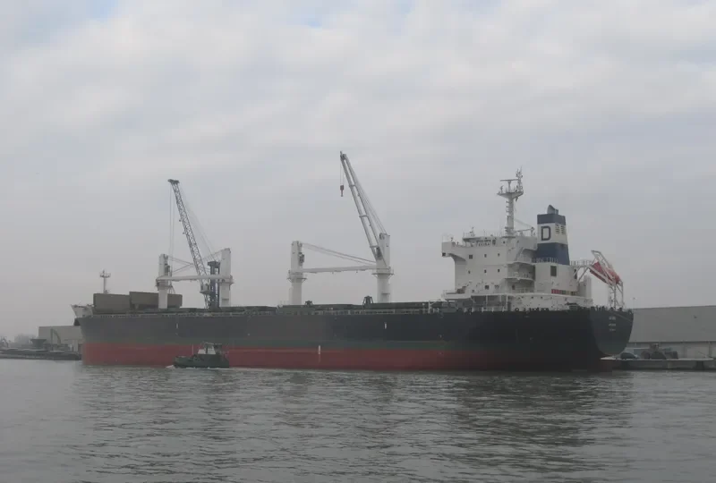 NOZOMI Bulk Carrier IMO 9558701 photo 3