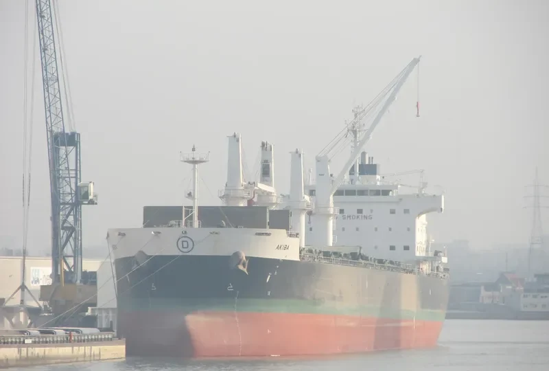 NOZOMI Bulk Carrier IMO 9558701 photo 5