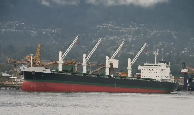 NOZOMI Bulk Carrier IMO 9558701 photo 7