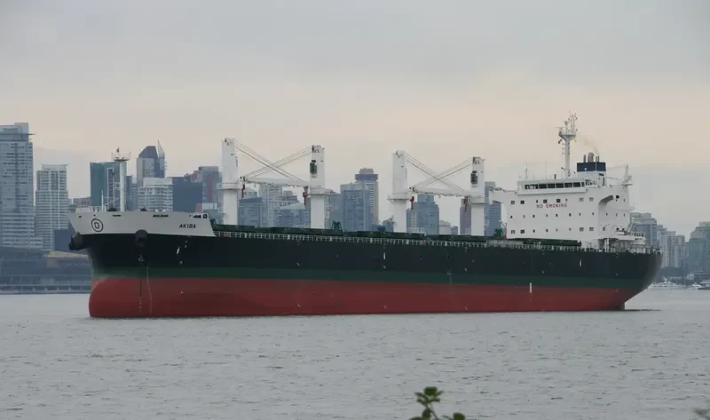 NOZOMI Bulk Carrier IMO 9558701 photo 8