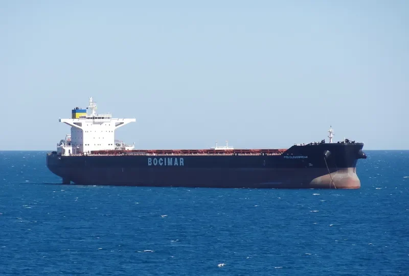 MINERAL CLOUDBREAK Bulk Carrier IMO 9558713 photo 6