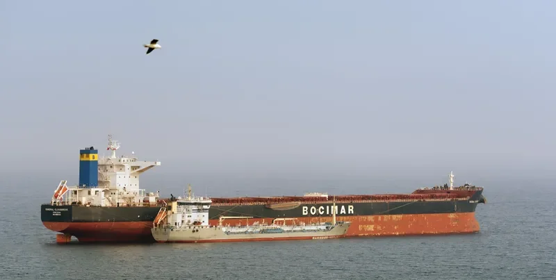 MINERAL CLOUDBREAK Bulk Carrier IMO 9558713 photo 8