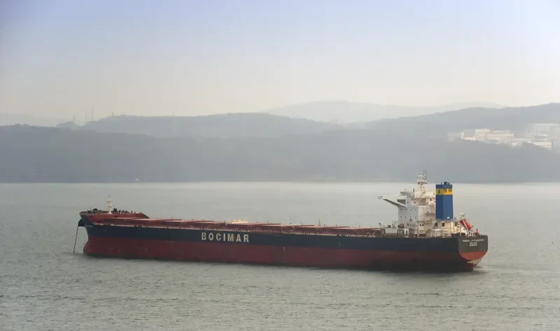 MINERAL CLOUDBREAK Bulk Carrier IMO 9558713 photo 9