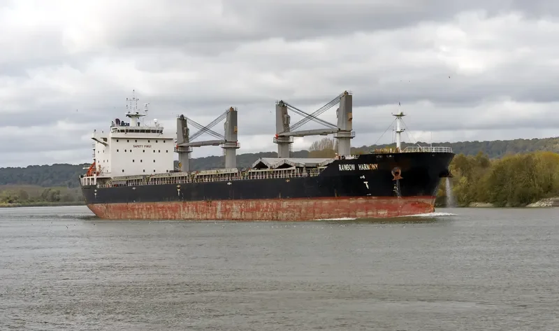 RAINBOW HARMONY Bulk Carrier IMO 9558737