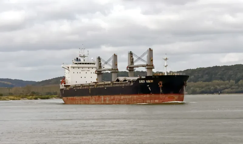 RAINBOW HARMONY Bulk Carrier IMO 9558737 photo 3