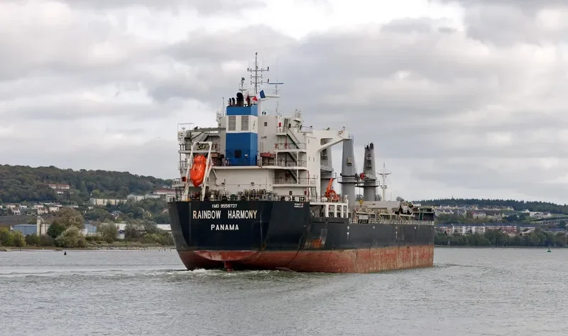 RAINBOW HARMONY Bulk Carrier IMO 9558737 photo 4
