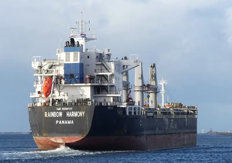 RAINBOW HARMONY Bulk Carrier IMO 9558737 photo 6