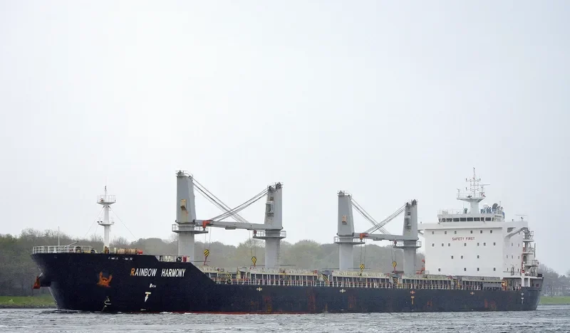 RAINBOW HARMONY Bulk Carrier IMO 9558737 photo 8