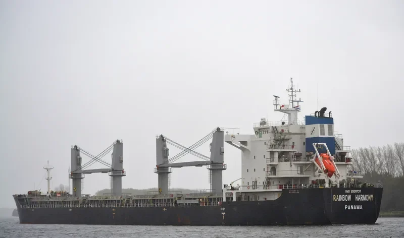 RAINBOW HARMONY Bulk Carrier IMO 9558737 photo 9