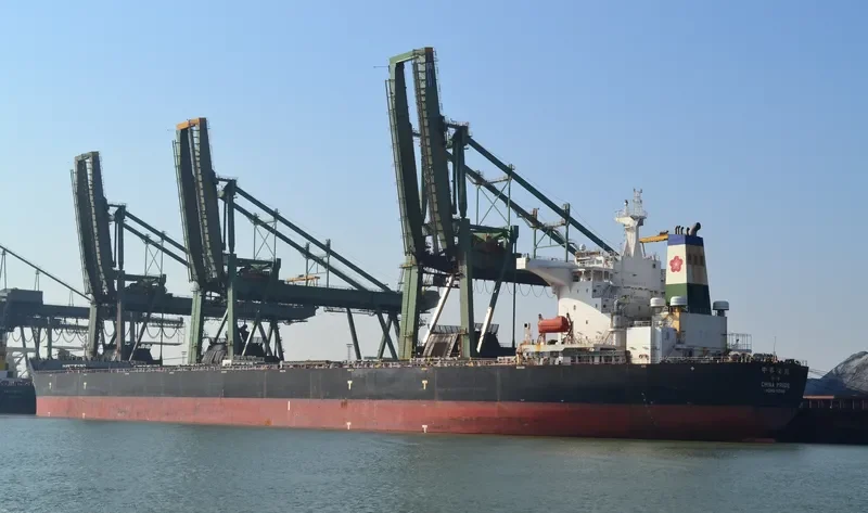 CHINA PRIDE Bulk Carrier IMO 9558799 photo 7