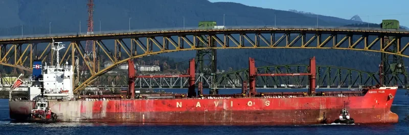 THUNDER Bulk Carrier IMO 9558892