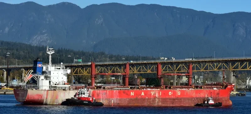 THUNDER Bulk Carrier IMO 9558892 photo 2