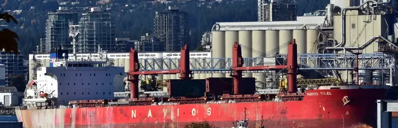 THUNDER Bulk Carrier IMO 9558892 photo 3