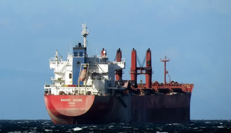 THUNDER Bulk Carrier IMO 9558892 photo 4