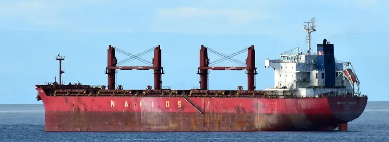 THUNDER Bulk Carrier IMO 9558892 photo 5