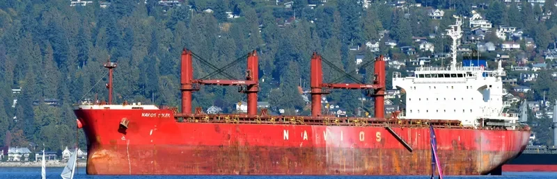 THUNDER Bulk Carrier IMO 9558892 photo 6