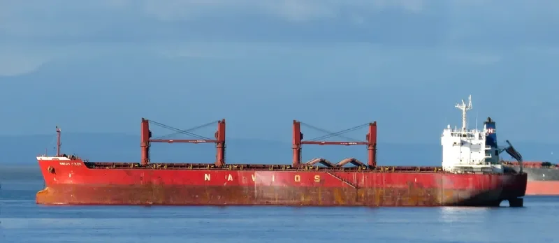 THUNDER Bulk Carrier IMO 9558892 photo 7