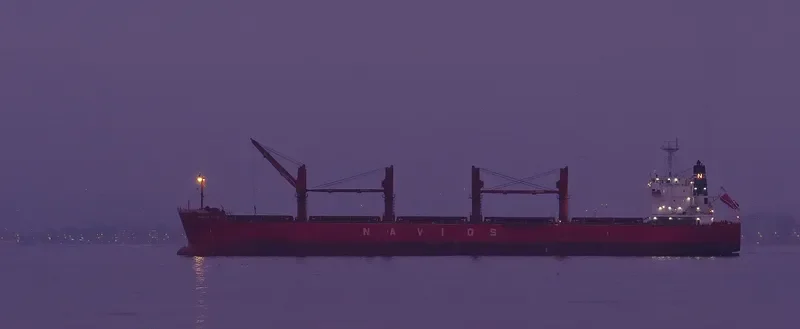 THUNDER Bulk Carrier IMO 9558892 photo 8