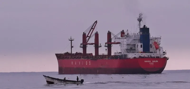 THUNDER Bulk Carrier IMO 9558892 photo 9