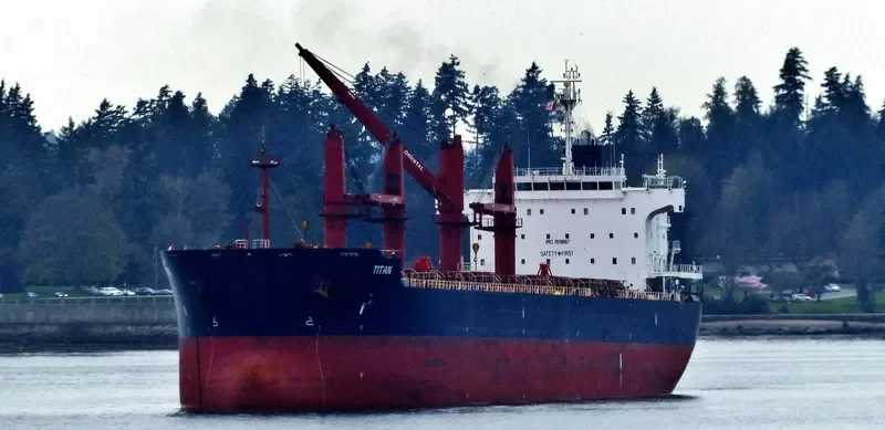 TITAN II Bulk Carrier IMO 9558907 photo 10