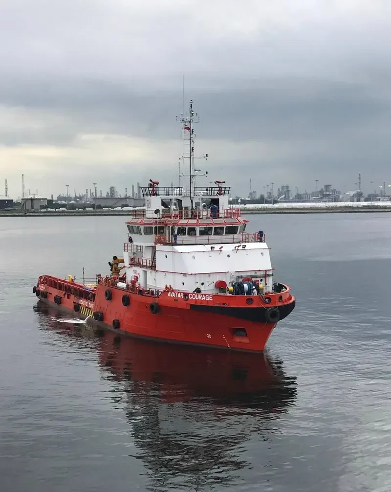 AVATAR COURAGE Multi-Purpose Vessel IMO 9559028 photo 2